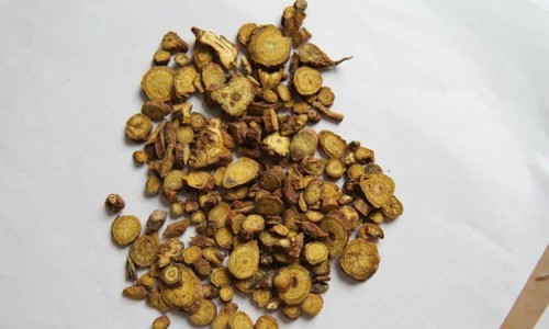 狗肝草图片功效与主治-【狗肝的功效与作用】狗肝草主治什么病 - 狗肝的功效与作用网