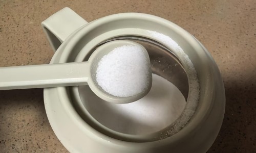 【狗肝的功效与作用】狗肝草主治什么病 - 狗肝的功效与作用网