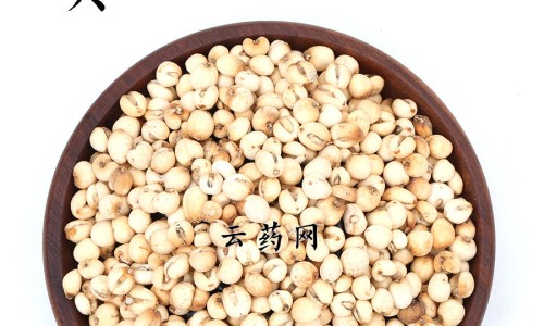 【狗肝的功效与作用】狗肝草主治什么病 - 狗肝的功效与作用网